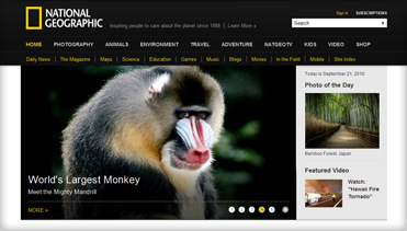 账号销售渠道正版的免费ddos压力测试平台